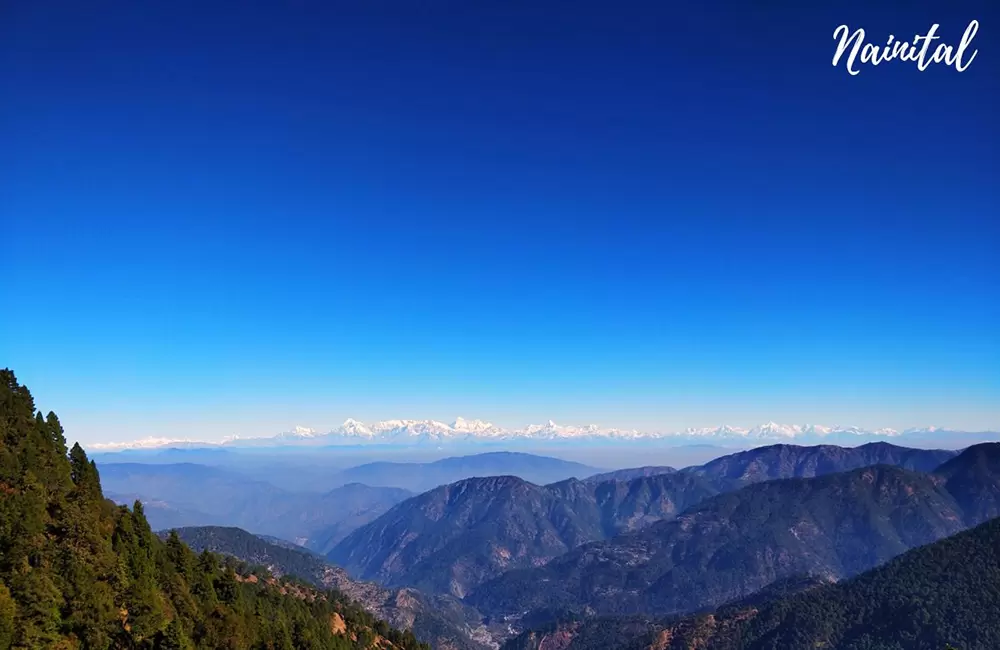 Snow View Point